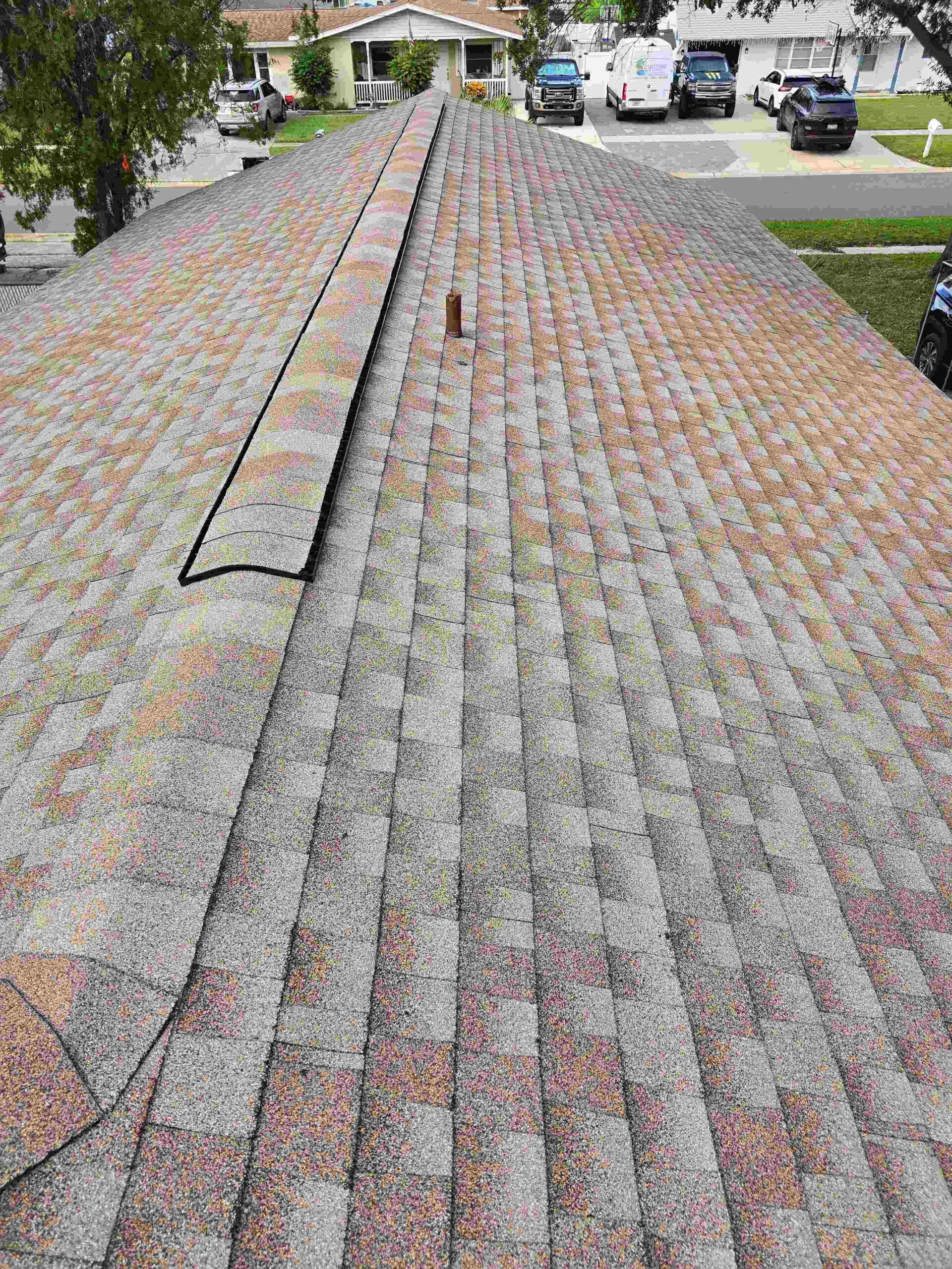 asphalt shingle roofing in Dade