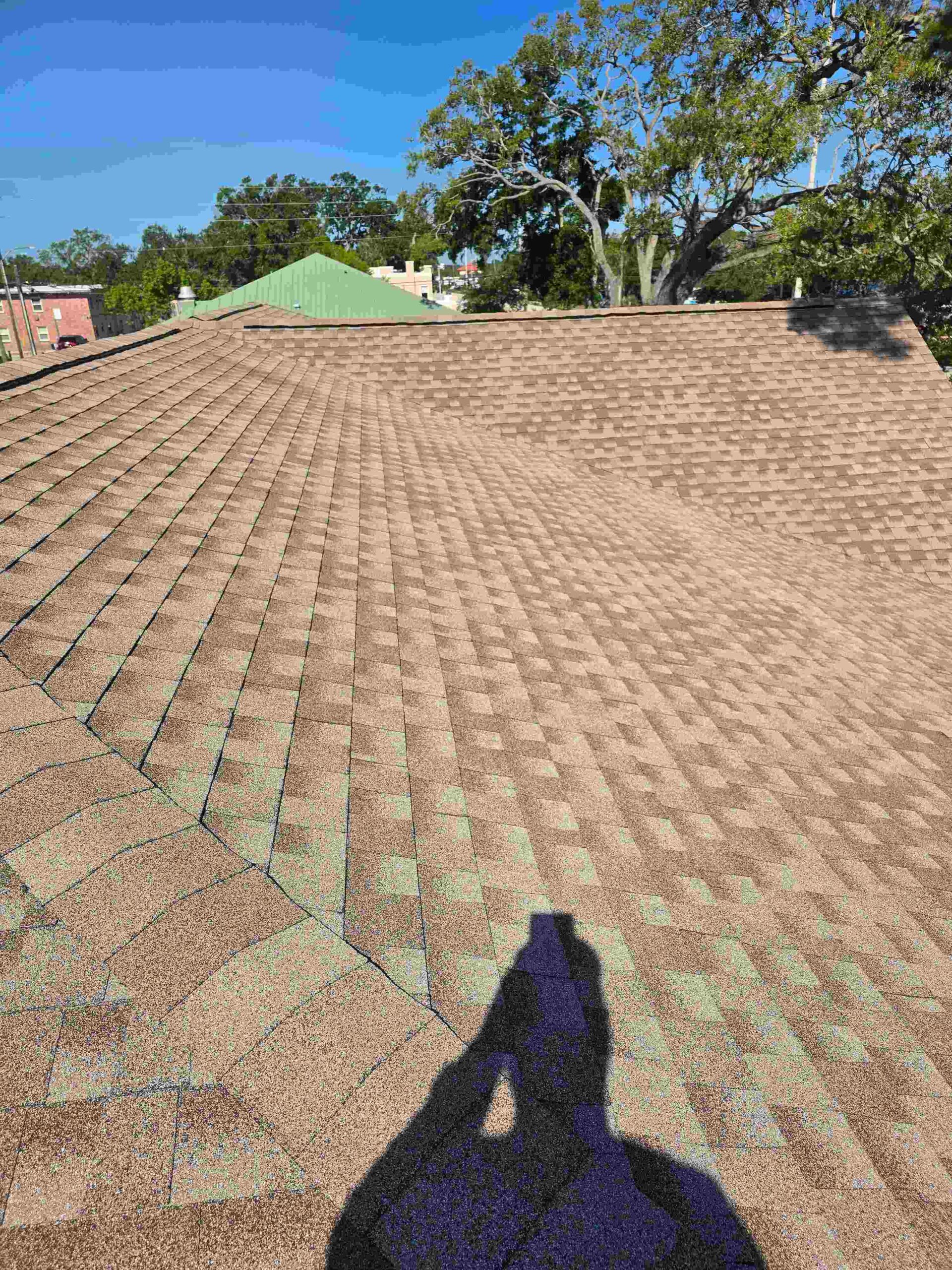 asphalt shingle roofing in Dade