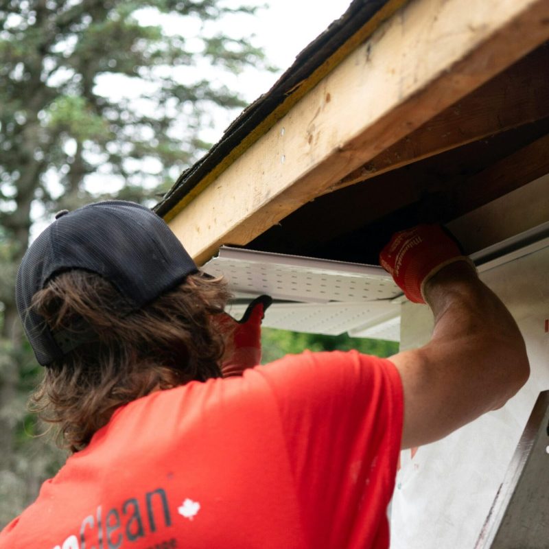 pexels-christafaari-34006744